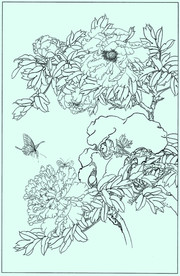 牡丹花线描 牡丹花白描 牡丹花