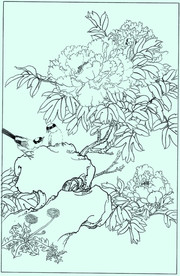 牡丹花线描 牡丹花白描 牡丹花