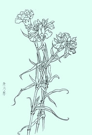康乃馨线描 康乃馨白描 康乃馨