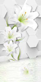 3D立体百合六边形玄关装饰画