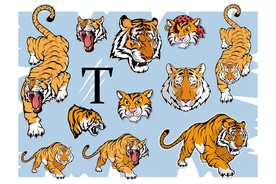 老虎矢量插画素材