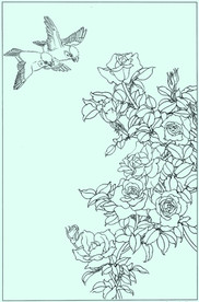 月季线描 月季白描 月季素描