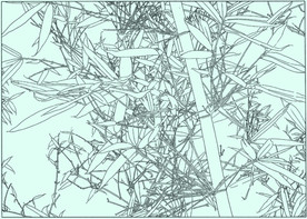 竹子线描 竹子白描 竹子素描
