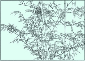 竹子线描 竹子白描 竹子素描