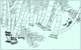 竹子线描 竹子白描 竹子素描