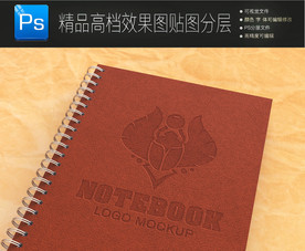 高档通用特种工艺标志样机图片