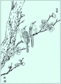 黑腰梅花雀线描 黑腰梅花雀白描