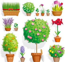 园林公园盆栽树苗矢量素材