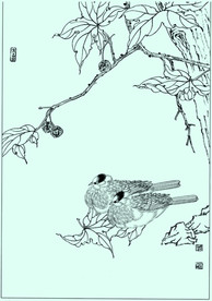 双栖线描 双栖白描 双栖素描