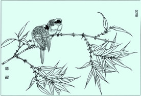 野山雀线描 野山雀白描 野山雀