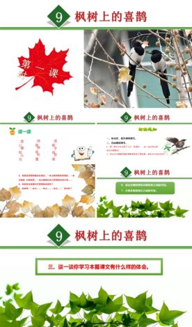 风树上的喜鹊课件