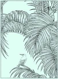 花鸟线描 花鸟白描 花鸟素描