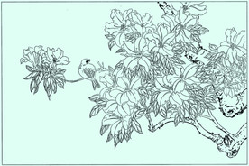花鸟线描 花鸟白描 花鸟素描