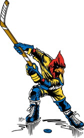 冰上曲棍球比赛