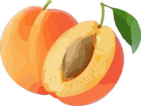 桃子 矢量手绘素材