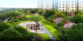 道路绿化效果图