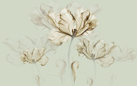 现代透明花卉背景墙装饰画