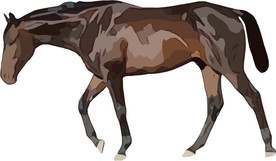 马 矢量手绘素材