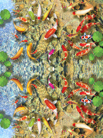 海底世界鹅卵石 循环图