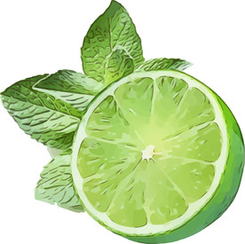 青柠 矢量手绘素材