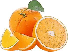 橙 矢量手绘素材