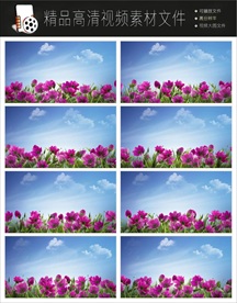 唯美花海舞台素材下载