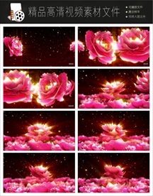 唯美浪漫迷幻欧式紫色花朵视频