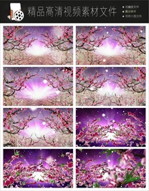 唯美浪漫迷幻欧式紫色花朵视频