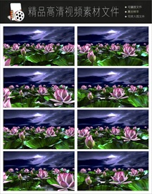 荷塘月色荧光蝴蝶高清LED视频