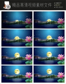 2018最新唯美荷花视频LED