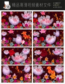 创意梦幻灯展光效闪烁变幻LED