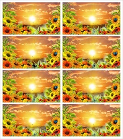 夏日微风清新唯美视频