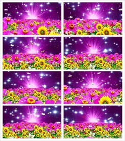 夏日微风清新唯美视频