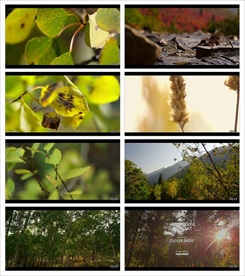 新农村农业建设视频素材