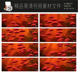 唯美月季背景AV高清视频