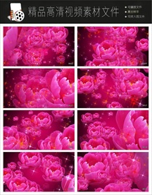 唯美月季背景AV高清视频