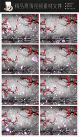 MPG梅花桃花唯美视频