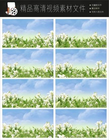 MPG唯美水彩卡通草原视频