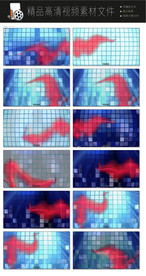 格子背景视频转场LED视频