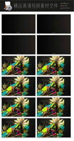 舞台灯光射灯视频LED视频