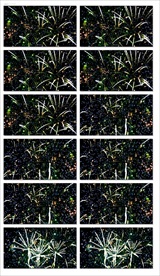 高清彩色烟花视频素材