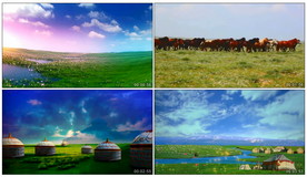 宝哒依儿 舞蹈舞台背景视频素材