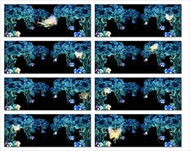 震撼迷幻光效劲爆DJ暖场视频