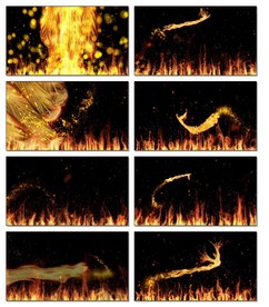 金色粒子凤凰LED视频素材