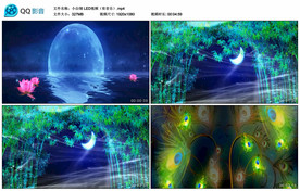 舞蹈小白翎 舞台大屏幕背景视频