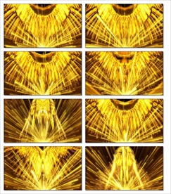 金色粒子凤凰LED视频素材