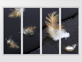 现代大气金色羽毛移门