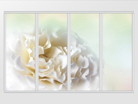 清新新现代风大花朵移门