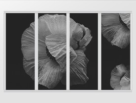 现代简约黑白灰虞美人移门