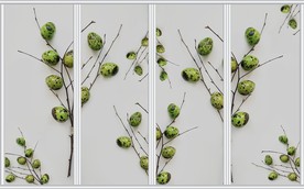 现代简约创意树枝移门